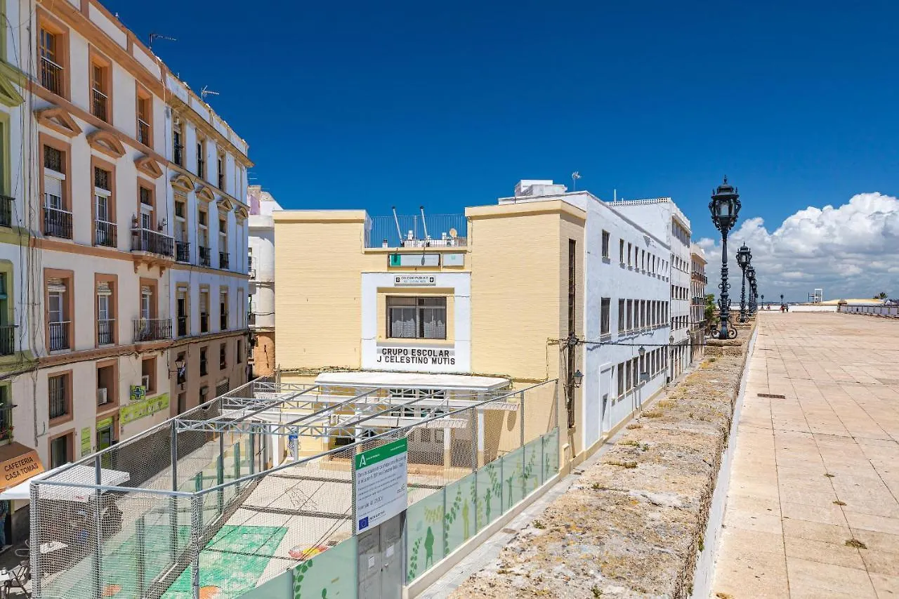 New Use Pz Espana 3 Derecha Cadiz 0*,  Spain